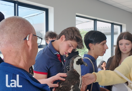 19700101-000000-Dji202601151357110301D-Jpg