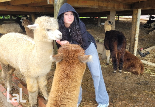 Young-Learners-Activities-and-Excursions