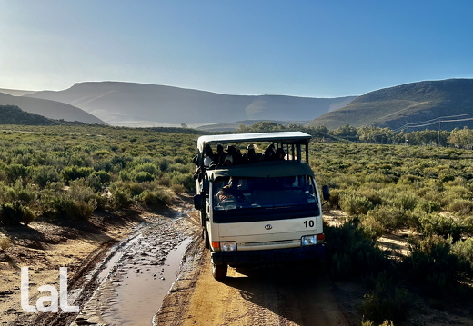 19700101-000000-Img0244