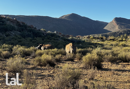 19700101-000000-Img0258