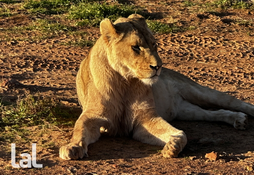 19700101-000000-Img0302