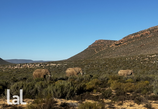 19700101-000000-Img0350